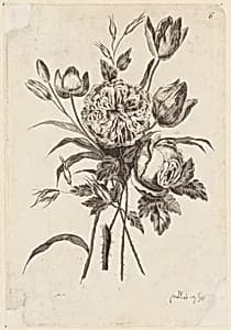 Print by Jean-Baptiste Pillement, French, 1728–1808