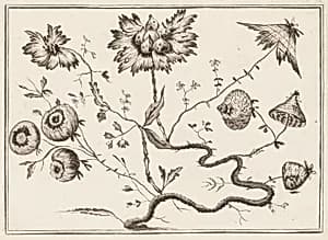 Print by Jean-Baptiste Pillement, French, 1728–1808