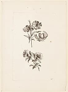 Print by Jean-Baptiste Pillement, French, 1728–1808