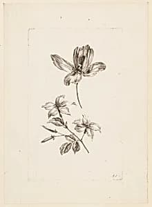 Print by Jean-Baptiste Pillement, French, 1728–1808
