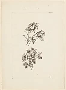 Print by Jean-Baptiste Pillement, French, 1728–1808