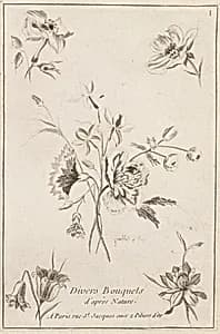 Print by Jean-Baptiste Pillement, French, 1728–1808