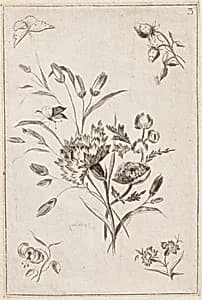Print by Jean-Baptiste Pillement, French, 1728–1808