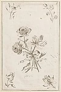 Print by Jean-Baptiste Pillement, French, 1728–1808