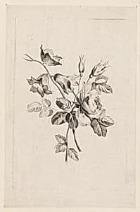 Print by Jean-Baptiste Pillement, French, 1728–1808