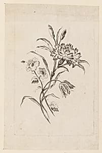 Print by Jean-Baptiste Pillement, French, 1728–1808