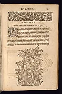 Print by Unknown