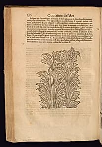 Print by Unknown