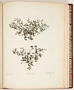 Print by Unknown