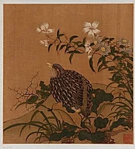 Quail and flowers by Formerly attributed to Zhao Boju (ca. 1120s-ca.1162)
