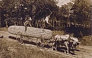 Riding a Giant Corncob to Market by W. H. Martin