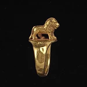 Ring by Unidentified