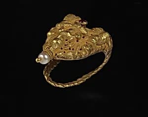 Ring by Unidentified