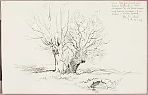 Roche Vaud by George Elbert Burr