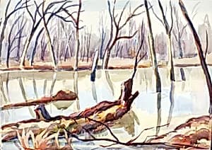 Rock Creek, Winter by Edgar Nye