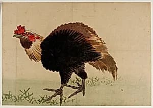 Portrait of Katsushika Hokusai 葛飾北斎 (1760-1849)