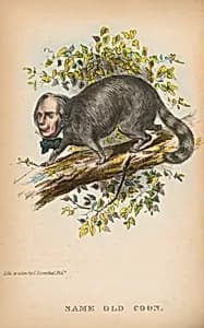 Same Old Coon