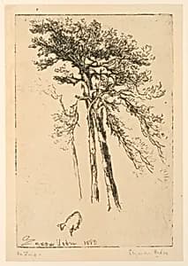 Scotch Firs by Francis Seymour Haden, English, 1818–1910