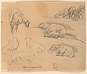 Sketches of Sheep by Walter Shirlaw, American, b. Scotland, 1838–1909