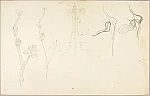 "Sound Construction" study by Solon H. Borglum
