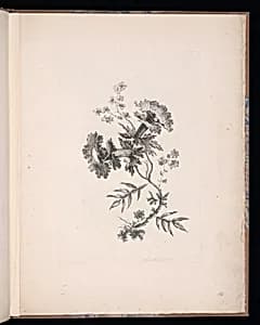 Spray of Flowers by Jean-Baptiste Pillement, French, 1728–1808