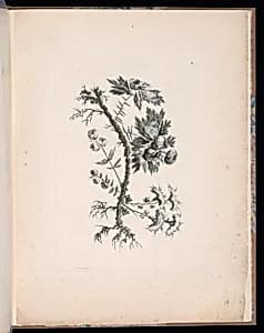 Spray of Flowers by Jean-Baptiste Pillement, French, 1728–1808