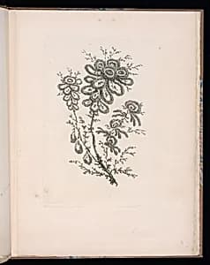 Spray of Flowers by Arnault-Eloi Gautier-Dagoty, French, 1741 – 1783