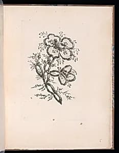 Spray of Flowers