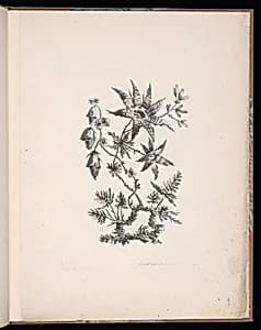 Spray of Flowers by Jean-Baptiste Pillement, French, 1728–1808