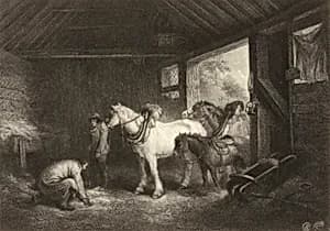 Stable Interior by Timothy Cole