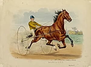 Stamboul by Louis Maurer