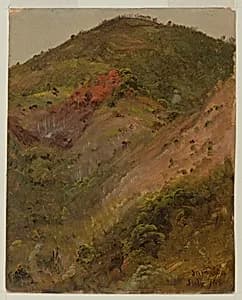 Steep Hillside, Jamaica by Frederic Edwin Church, American, 1826–1900