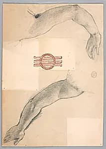 Studies of Arms by Francis Augustus Lathrop, (American, 1849–1909)