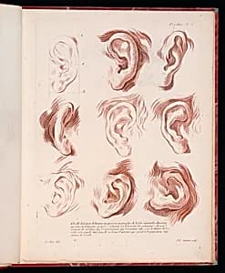 Studies of Ears by Pierre Thomas Le Clerc, French, ca. 1740 - ca. 1796