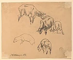 Studies of Sheep by Walter Shirlaw, American, b. Scotland, 1838–1909