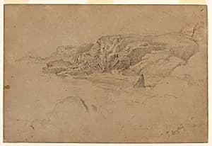 Study from Nature