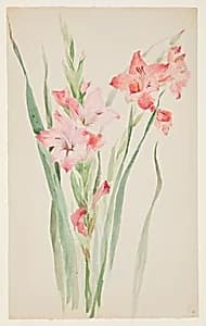 Study of Amaryllises by Sophia L. Crownfield, (American, 1862–1929)