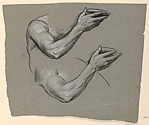 Study of arm by Elihu Vedder, American, 1836 – 1923