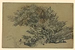 Study of foliage by William Trost Richards, American, 1833–1905