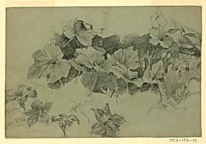 Study of foliage by William Trost Richards, American, 1833–1905