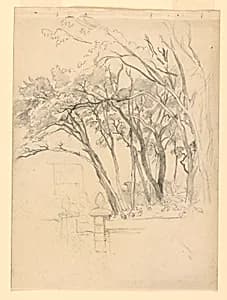 Study of foliage by William Trost Richards, American, 1833–1905