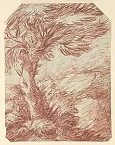 Study of Trees by Unknown
