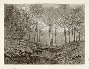 Summer Morning by Henry Wolf