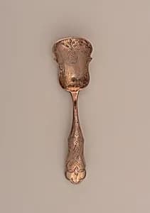 Tea Caddy Spoon by Unknown