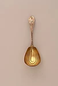 Tea Caddy Spoon