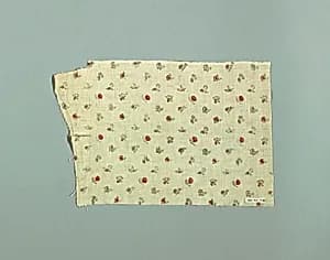 Textile by Unknown
