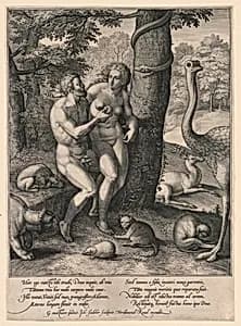The Fall of Man by Jan Sadeler, the Elder, ca. 1550 – 1600