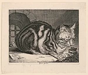 The Large Cat