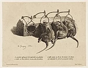 The mousetrap