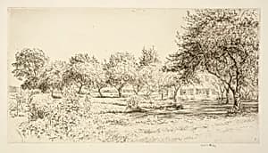 The Orchard by Kerr Eby